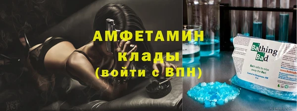индика Арсеньев