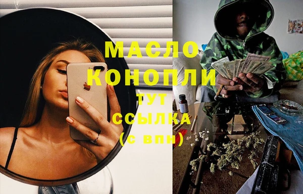индика Арсеньев
