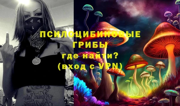 индика Арсеньев