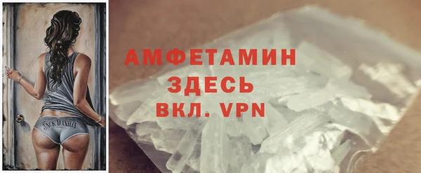 индика Арсеньев