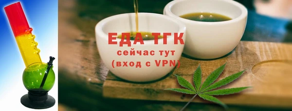 индика Арсеньев