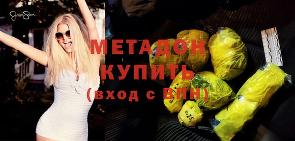 индика Арсеньев
