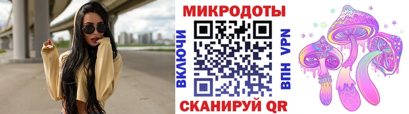 Псилоцибиновые грибы Psilocybine cubensis  Талдом 
